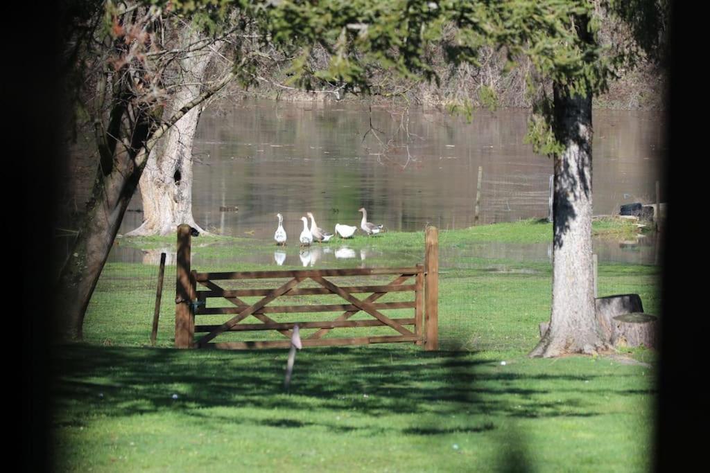 Le Ponton Des Sympetrums Aurec-Sur-Loire Bagian luar foto